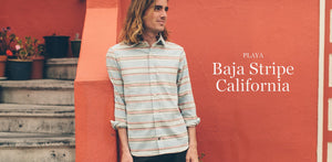 The California in Playa Baja Stripe